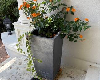large planter; 1 of 2