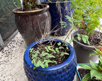 garden pots