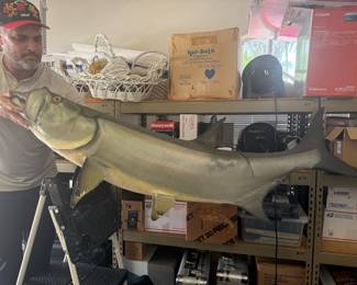 Taxidermy Tarpon