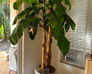 Faux plants/trees (multiple options)