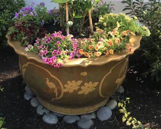 Large pots and pots with trees