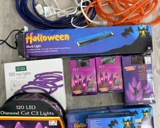 84 HalloweenandDecorativeRopeLights
