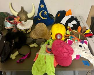 Costumes! 