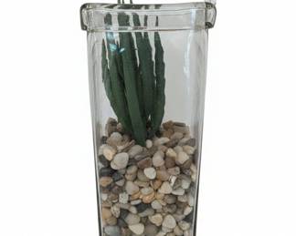 Blender Jar Glass Succulent Planter