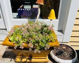 Ceramic Planters