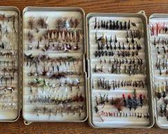 Collections of Tied Flies