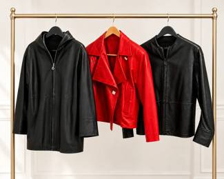 Two Ellen Tracy Leather Jackets DKNY Leather Jacket