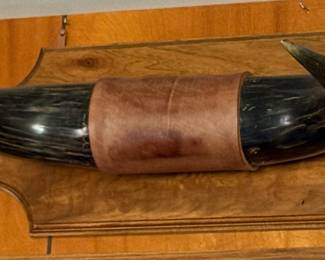 MOUNTED STEER HORN