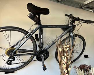 Schwinn Tourist Bicycle