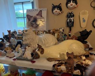 Cats, cats, cats
