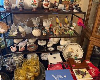 All kinds of birds