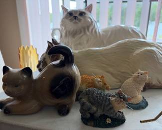Cats, cats, cats
