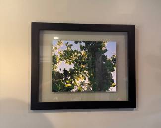Framed Contemporary Botanical Photography Print / Sunlit Green Foliage