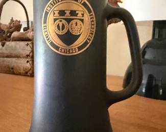Illinois institute of chicago mug