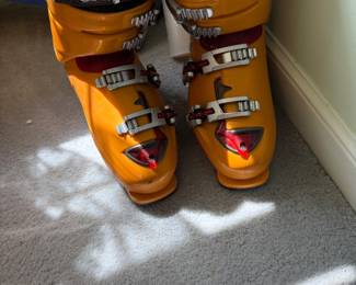Ski Boots