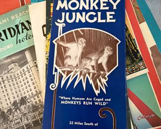 Monkey Jungle brochure