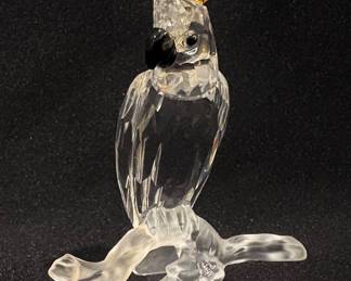 #S210 Cockatoo $100 Swarovski Box