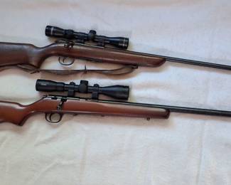 17 HMR bolt action and 22 bolt action