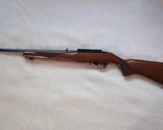 22 ruger 10 / 22