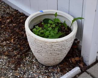 1179Patio