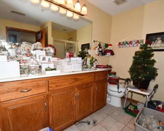 494Bathroom