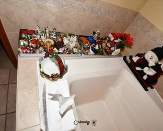 493Bathroom