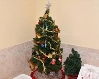 527Bathroom