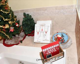 528Bathroom