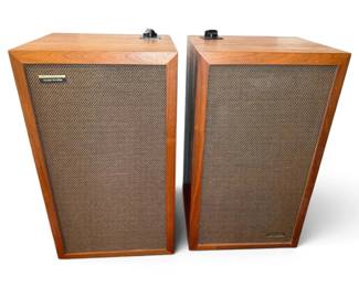 Vintage Realistic Speakers
