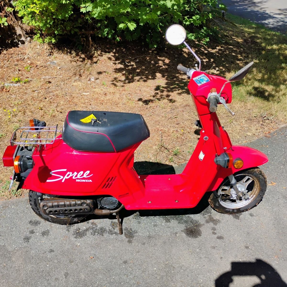 Honda Spree motor scooter