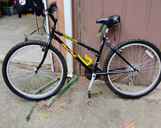 Specialized mountain bike