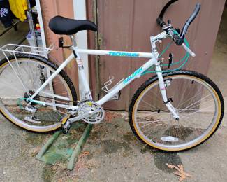 Raleigh mountain bike