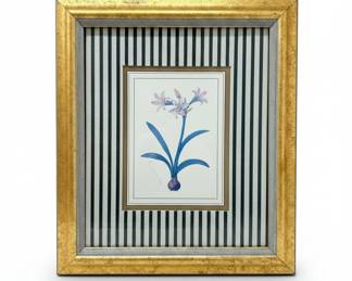 Botanical Print in Gilt Frame
