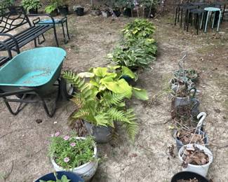 Large assortment of potted plants, planters, flowers and garden décor