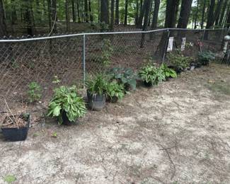 Large assortment of potted plants, planters, flowers and garden décor