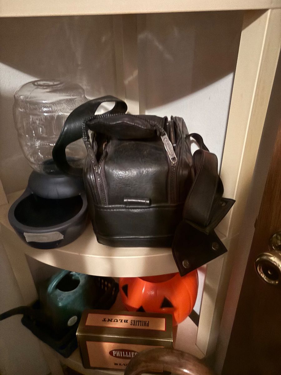 Camera case with camera, dog water feeder, cigar box, trick or treat pumpkin, waterer