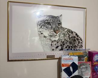 Framed picture & more