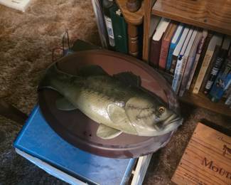Upstairs - Crate underneath mounted large fish