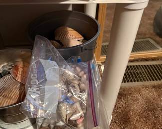 Jars & shells