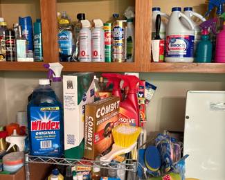 Items in laundry area