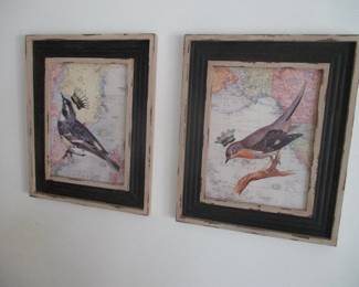 American Robin Framed Print