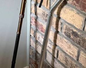 Walking sticks