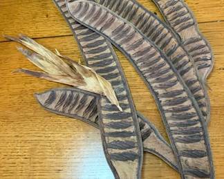 Royal Ponciana Flame Tree dried pods