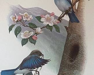 Signed Print Mountain Bluebirds Bierly