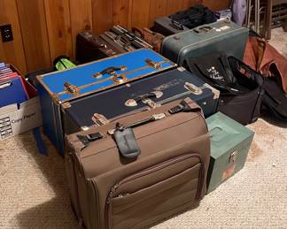 Luggage and storage