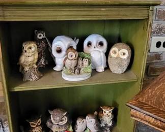 Owls