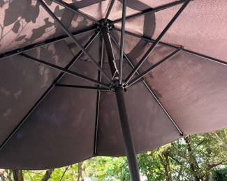 nice umbrella