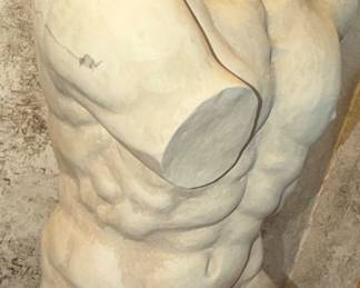 Artistic male torso complete with nether regions