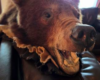 Bear Rug - With Teeth & Claws