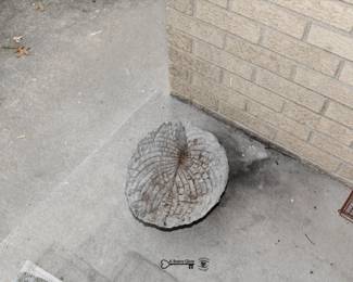 1092Front Yard